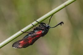 Ondersteboven van Esther Bakker-van Aalderen
