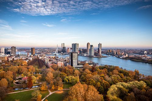 Skyline von Rotterdam