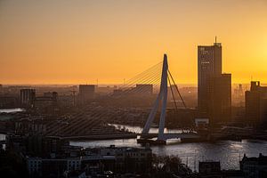 Erasmus Sunrise