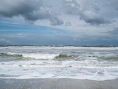De zee, Texel van Johanna Blankenstein thumbnail