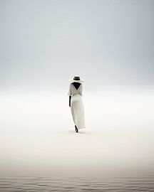 Aesthetic minimalism