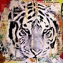 Tigerstyle no2 by Michiel Folkers thumbnail