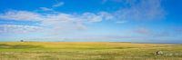 Steppe in spanje