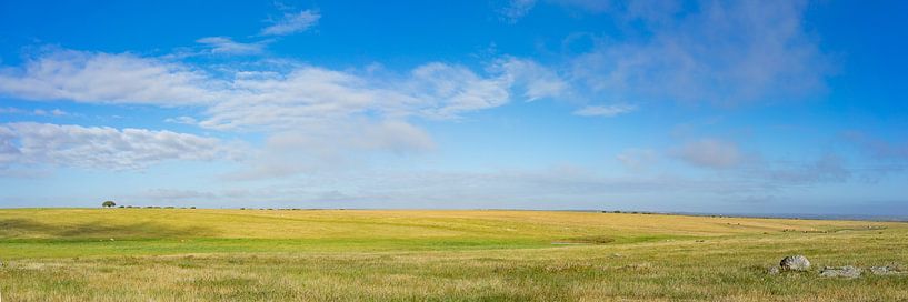 Steppe in spanje von Fokko Erhart