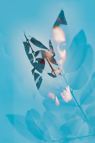 De vrouw in het blauw 