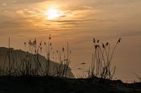 Baltic Sea coast on the island Ruegen