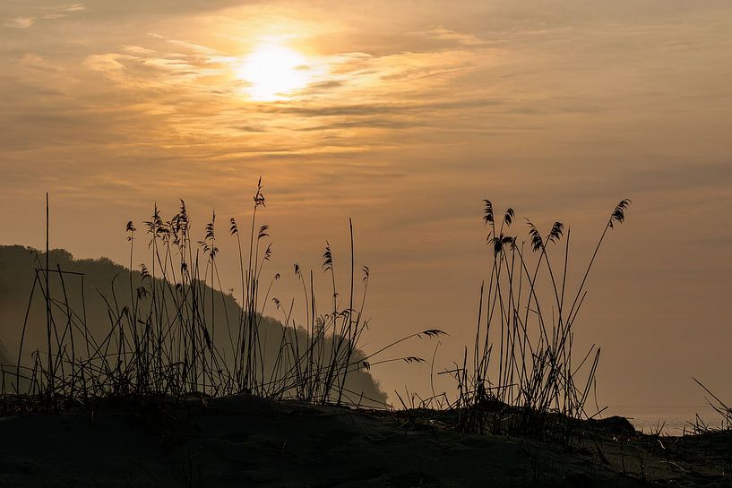 Baltic Sea coast on the island Ruegen by Rico Ködder