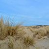 Les dunes dans la Oostkapelle de Zélande sur Oostkapelle Fotografie