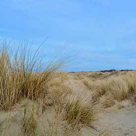 Les dunes dans la Oostkapelle de Zélande sur Oostkapelle Fotografie