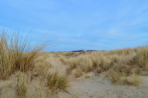 Les dunes dans la Oostkapelle de Zélande sur Oostkapelle Fotografie