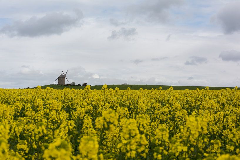 Champ de colza en France par Marian Sintemaartensdijk