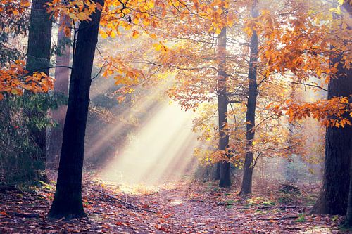 light from heaven... 