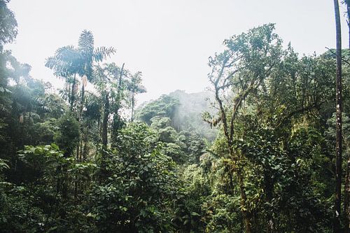 Ponts suspendus d’Arenal – Parc Mistico