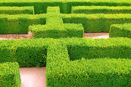 Heckenlabyrinth in einem französischen Schlossgarten