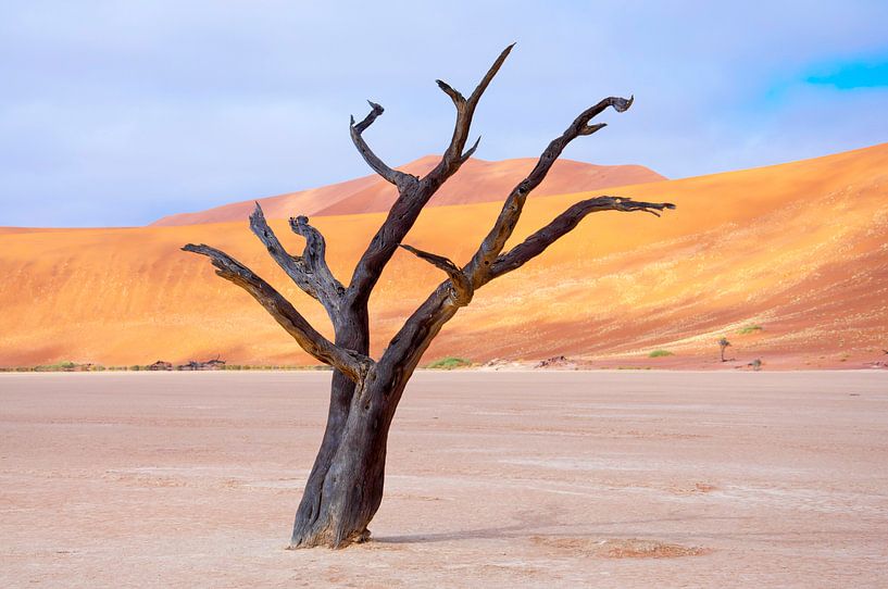 Kunstzinnige wind in de woestijn... par Aisja Aalbers