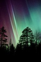 Noorderlicht