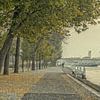 Herfst in Rotterdam van Henri van Avezaath