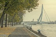Herfst in Rotterdam van Henri van Avezaath thumbnail