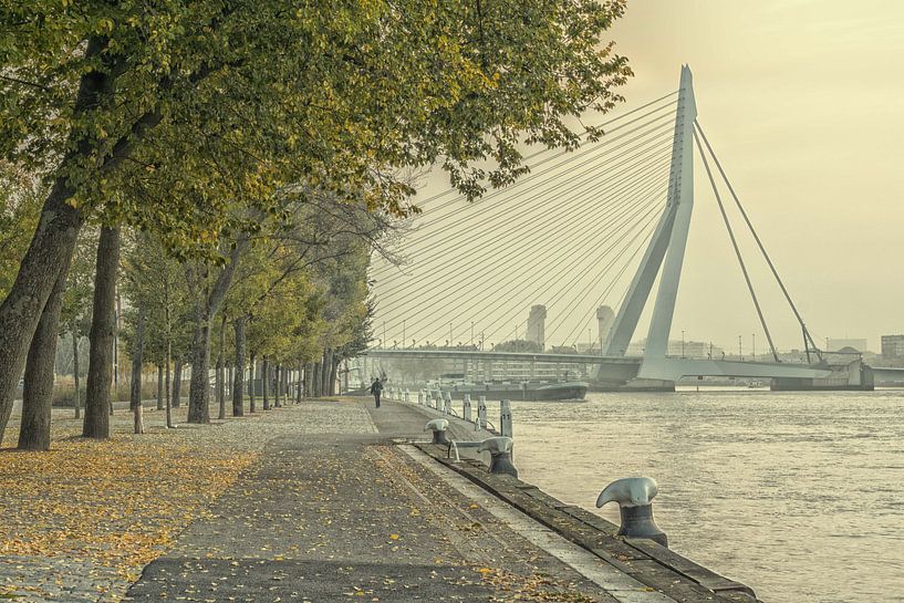 Herfst in Rotterdam van Henri van Avezaath