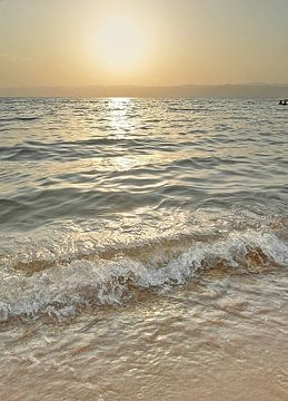 The Dead Sea van Chandra Bhola