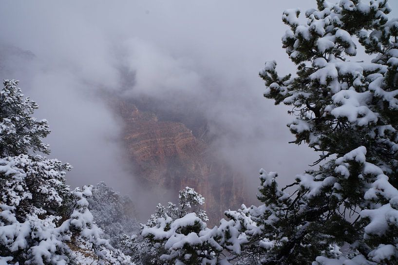 Parc national du Grand Canyon par Martine Overkamp-Hovenga