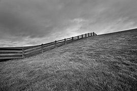 Ternaard, Nederland van Peter Bolman