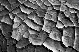 Erd-Mosaik von Nordwin Alberts / Moving Stills