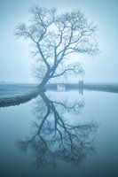 Mirror, mirror...