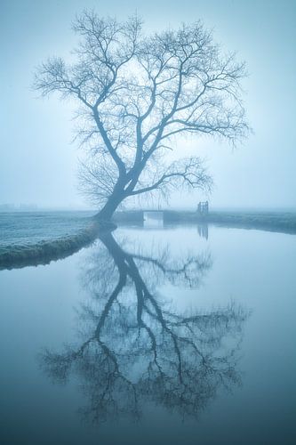 Spiegeltje, spiegeltje...