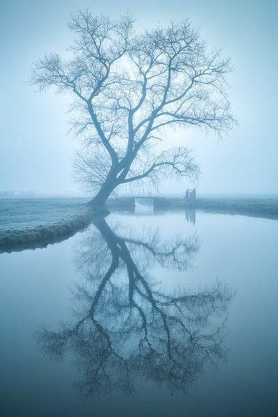 Mirror, mirror... by Halma Fotografie