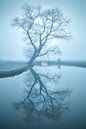 Mirror, mirror... by Halma Fotografie thumbnail