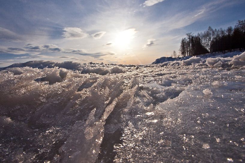 sparkling ice under the setting sun near the shore of Lake Baikal, behind the trees by Michael Semenov