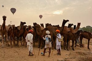 Marché aux chameaux à Pushkar sur Thea Oranje