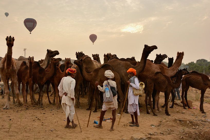 Kamelenmarkt in Pushkar van Thea Oranje