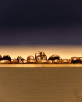 Coffee beans