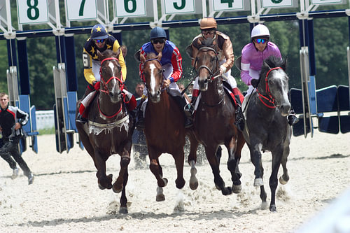 Start gates for horse races closeup.