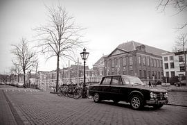 Alter Alfa von Maarten Scholder