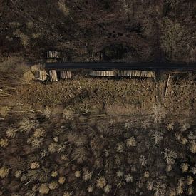 Image de drone d'une forêt déboisée sur Adrian Meixner