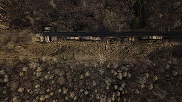 Drone-beeld van een ontbost bos van Adrian Meixner