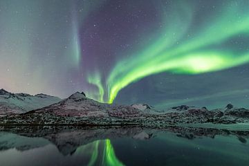 Nordlichter über einem Fjord auf den Lofoten in Norwegen
