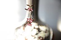 Silver vase with pink artificial flower in morning light