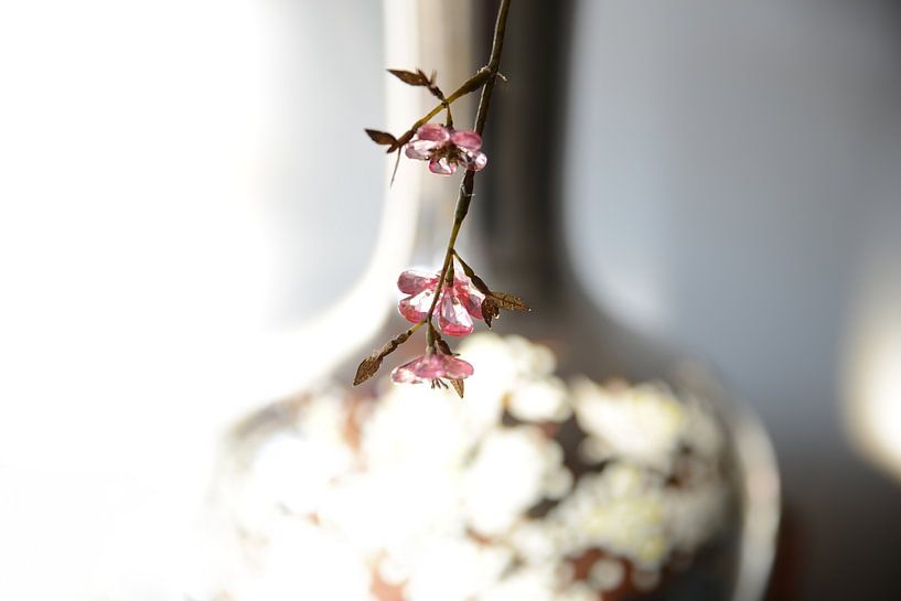 Silberne Vase mit rosa Kunstblume im Morgenlicht von Regina Elise