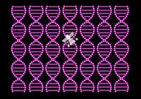 Anunnaki DNA Spacecraft brown-pink