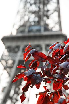 Rode bladeren Eiffeltoren van Dennis van de Water