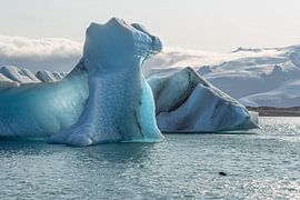 'Schwimmende Eisberge in der Gletscherlagune Jokulsarlon und eine Robbe, die sich auf dem Eis ausruht von PhotoCluster