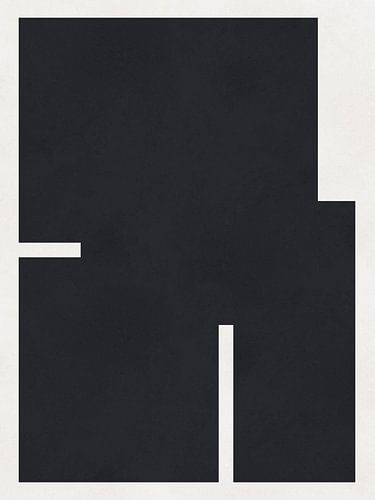 Zwart-wit meetkunde 5