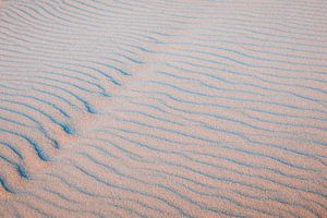 abstrakte Linien der Natur