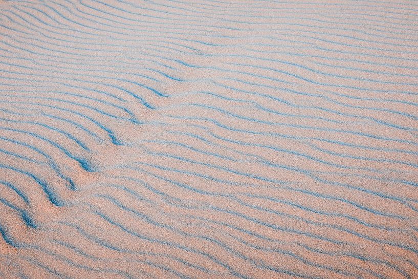 abstract lines of nature by eric van der eijk