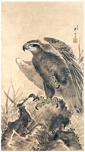 Kawanabe Kyōsai - Adler auf einem Felsen
