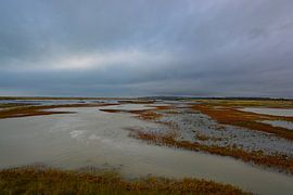 Rye Harbor